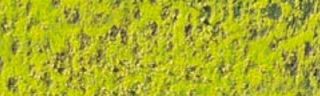 Pastela sucha w kredce Caran dAche - 232 Mid. Moss Green 10%